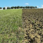 Soc. Agr. YesiFood - BIO+ vs BIO