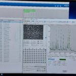 Identificazione dei ceppi isolati, tramite MALDI-TOF (strumento di spettrometria di massa in grado di identificare in pochi secondi la specie batterica)