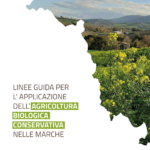 Linee guida per l'applicazione dell'agricoltura biologica conservativa nelle Marche