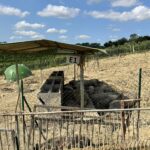 Mangiatoie all’aperto.